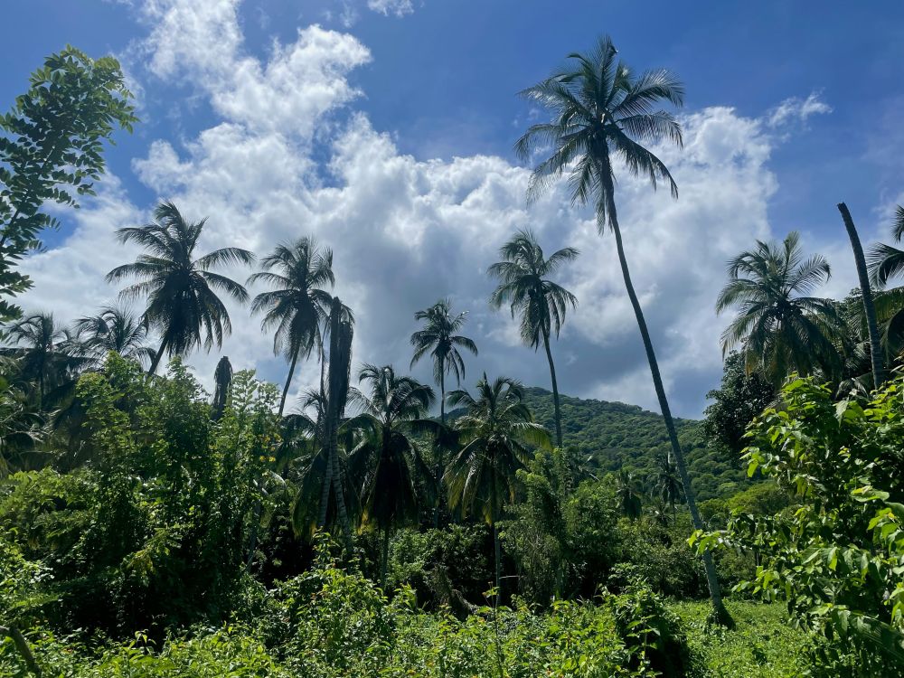 Terre-de-Bas, Les Saintes